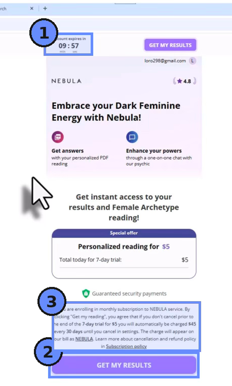 Nebula Exhibit D.5 — results page